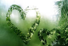 荣耀时刻，燃情瞬间：冠军荣耀，与你同在！