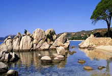 荣耀时刻，燃情瞬间：冠军荣耀，与你同在！