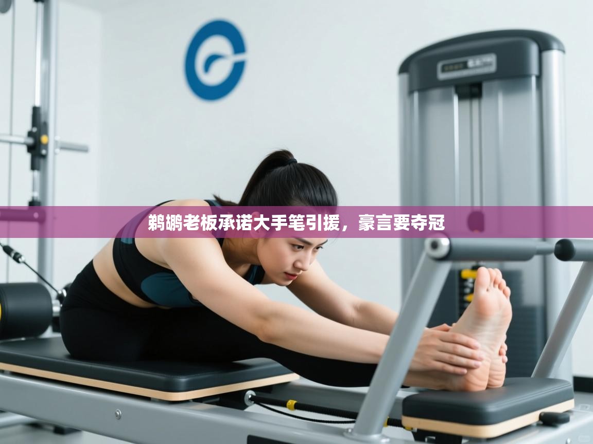 鹈鹕老板承诺大手笔引援，豪言要夺冠  第2张